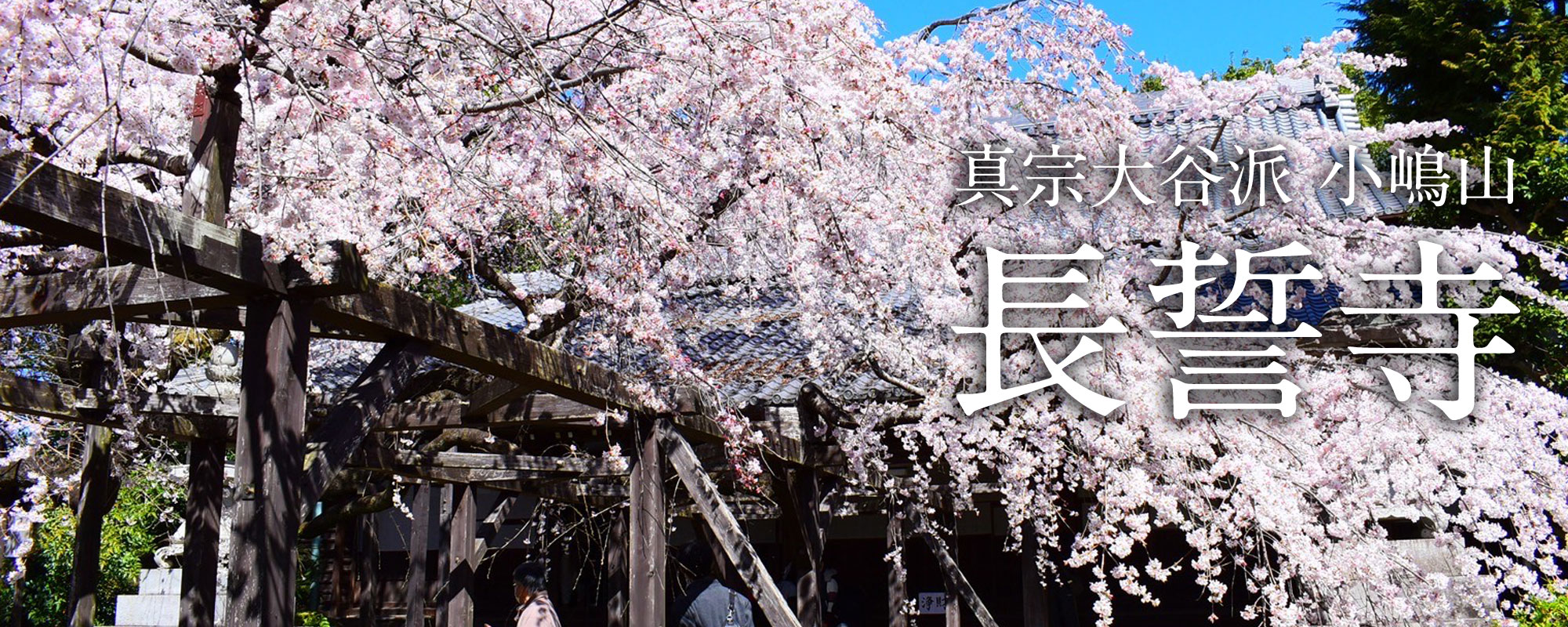 長誓寺外観