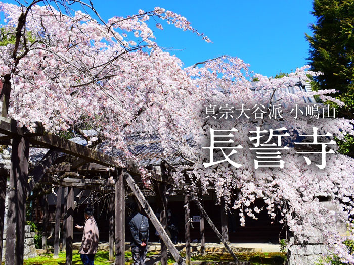 長誓寺外観